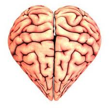 cerebro corazon